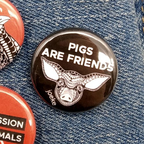 Pin – Pigs are friends
